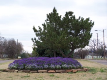 Martin Luther King Jr. Blvd.