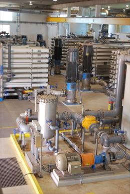 RO Plant Cover Photos 5-2009 045_thumb.jpg