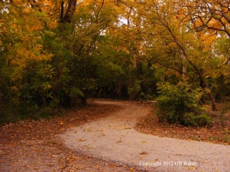 OB Baker Photos 11-2011 (2)CR Web.jpg