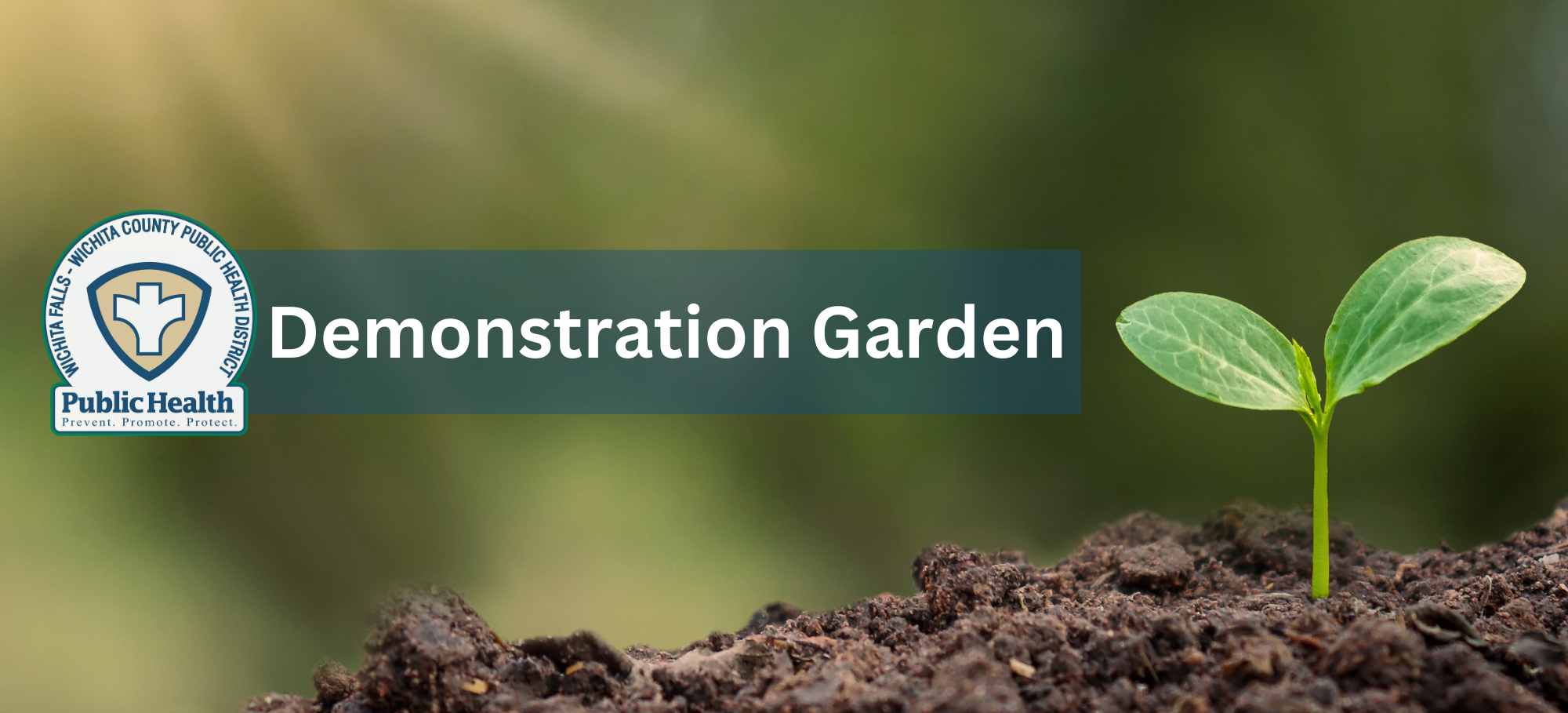 Demonstration Garden (1)