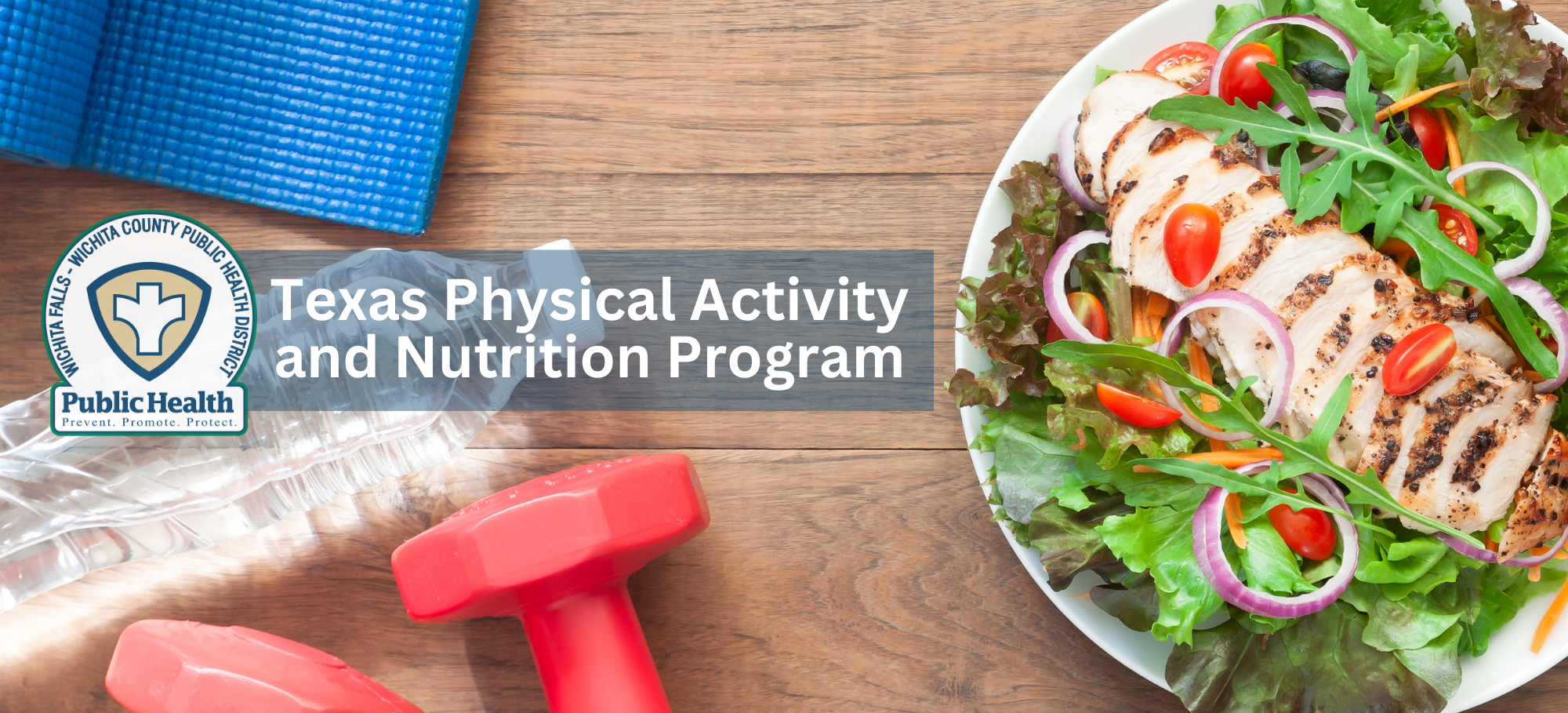 Texas Physical Activity and Nutrition Program (1)