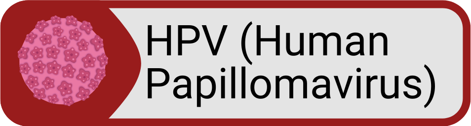 Button HPV