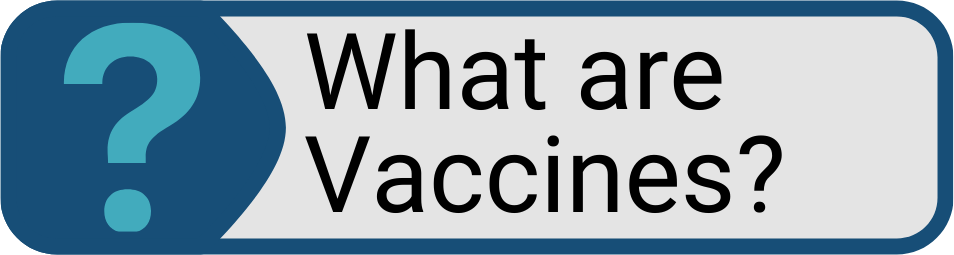 Button What are Vaccines
