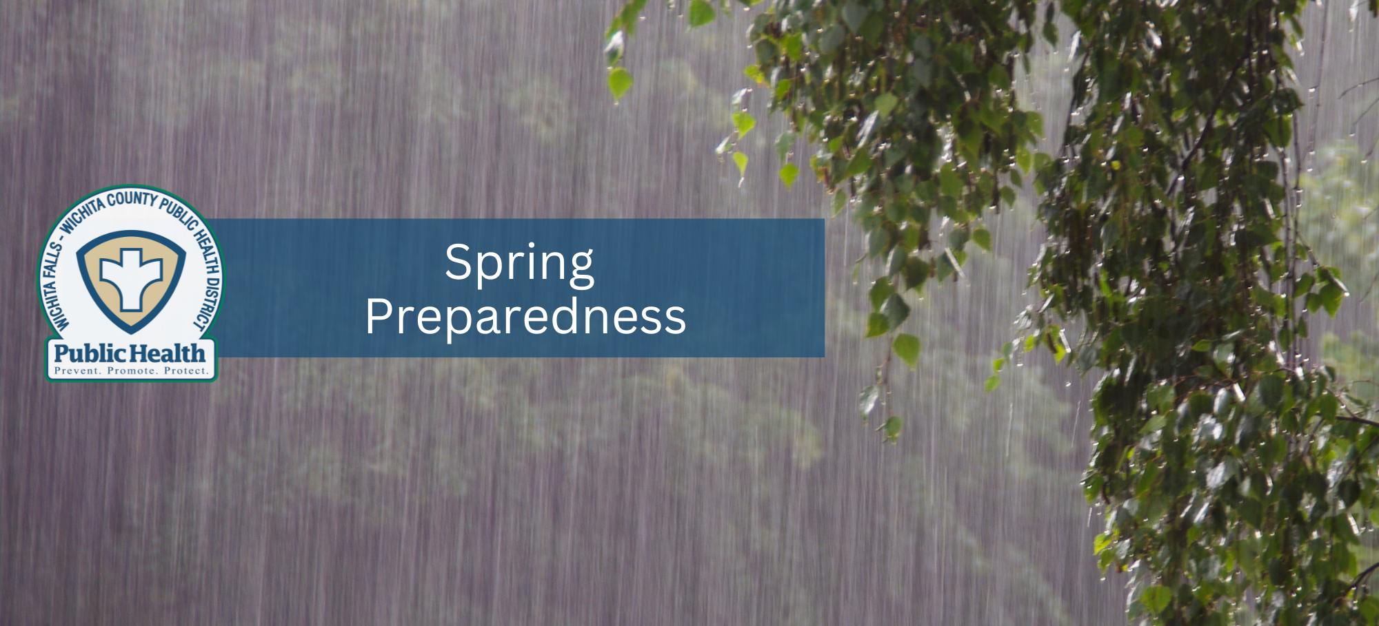 Spring Preparedness 1