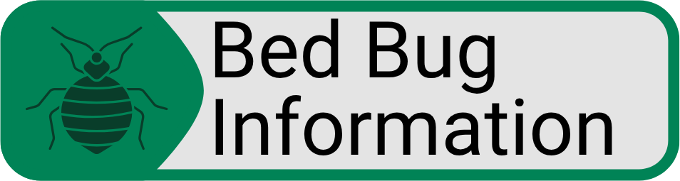 Button Bed Bug Information