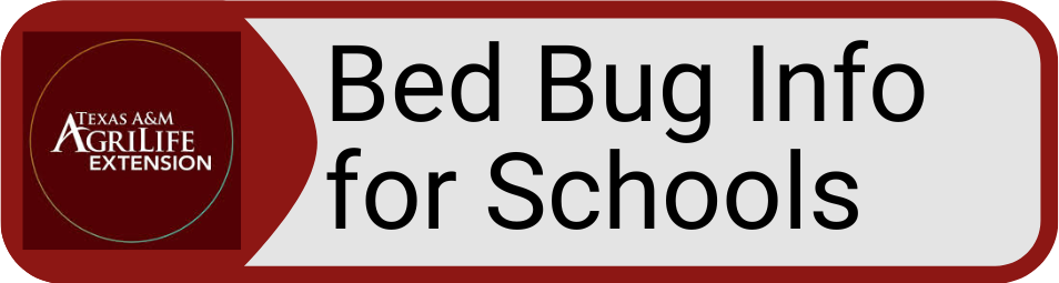 Button TX AM Bed Bug Info for Schools
