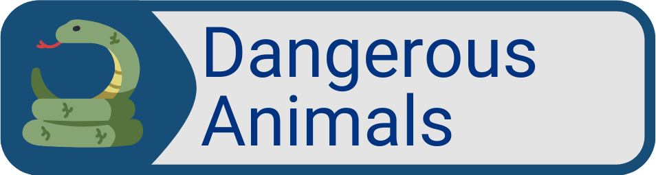 Button Dangerous Animals