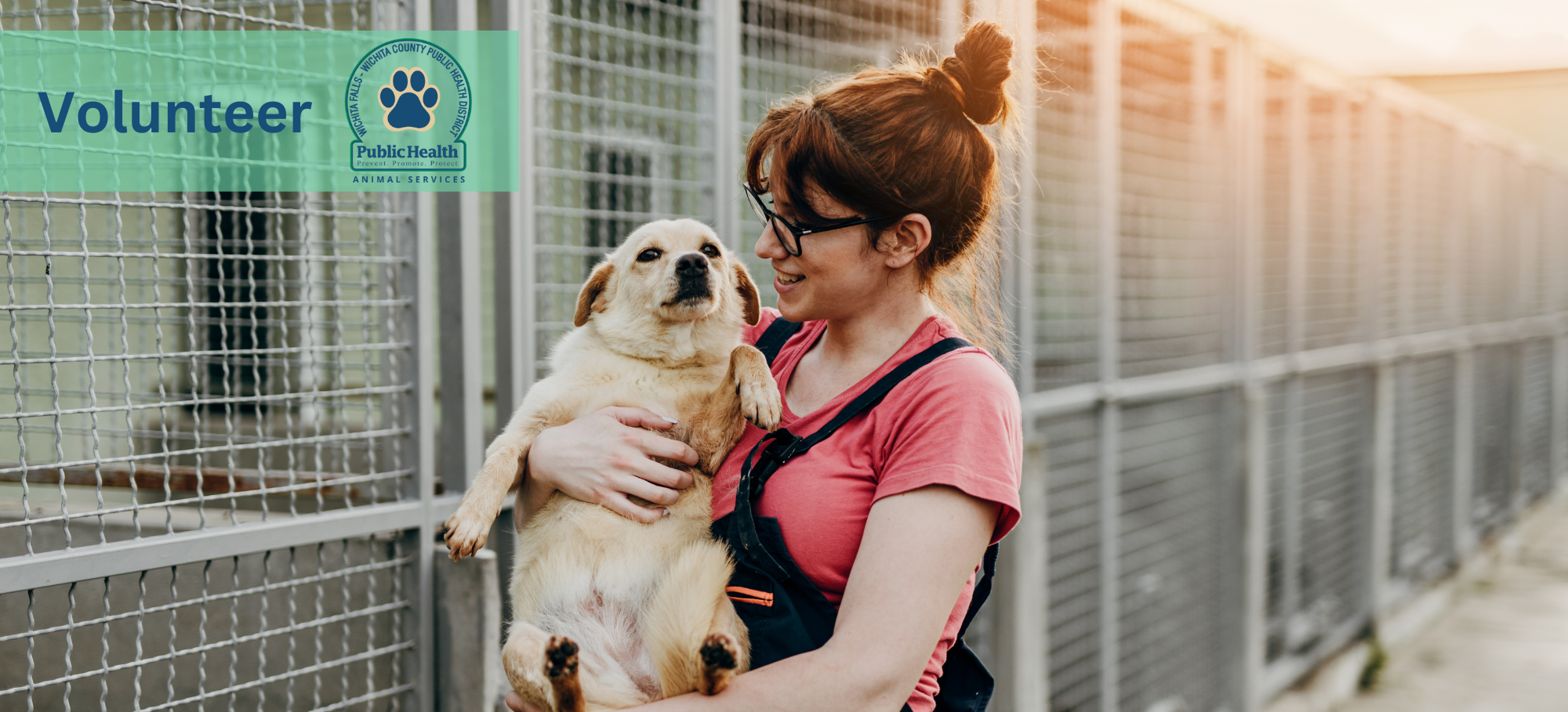 Animal Services subpage Volunteer