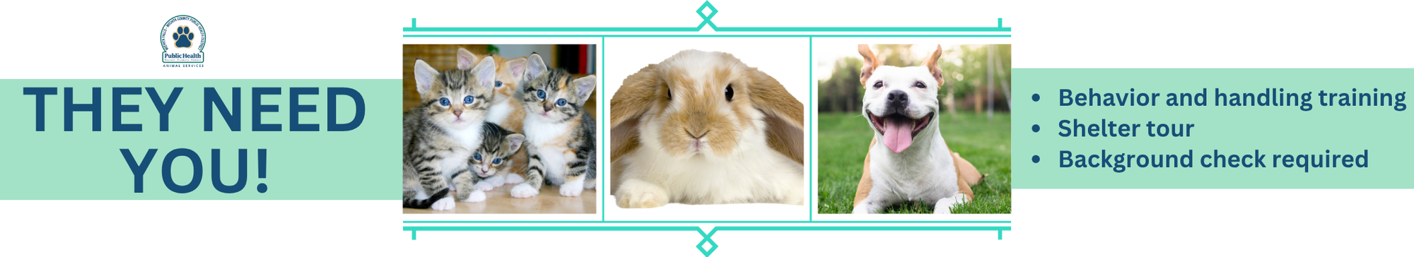 Volunteer photo banner