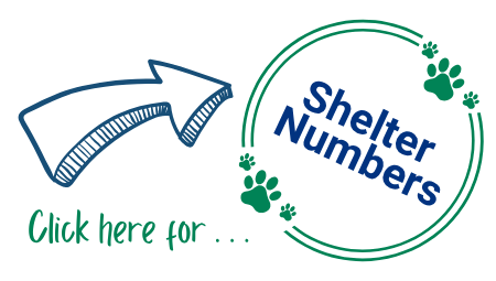 Animal Services_Monthly shelter click here button (0.9 x 0.9 in) (2)