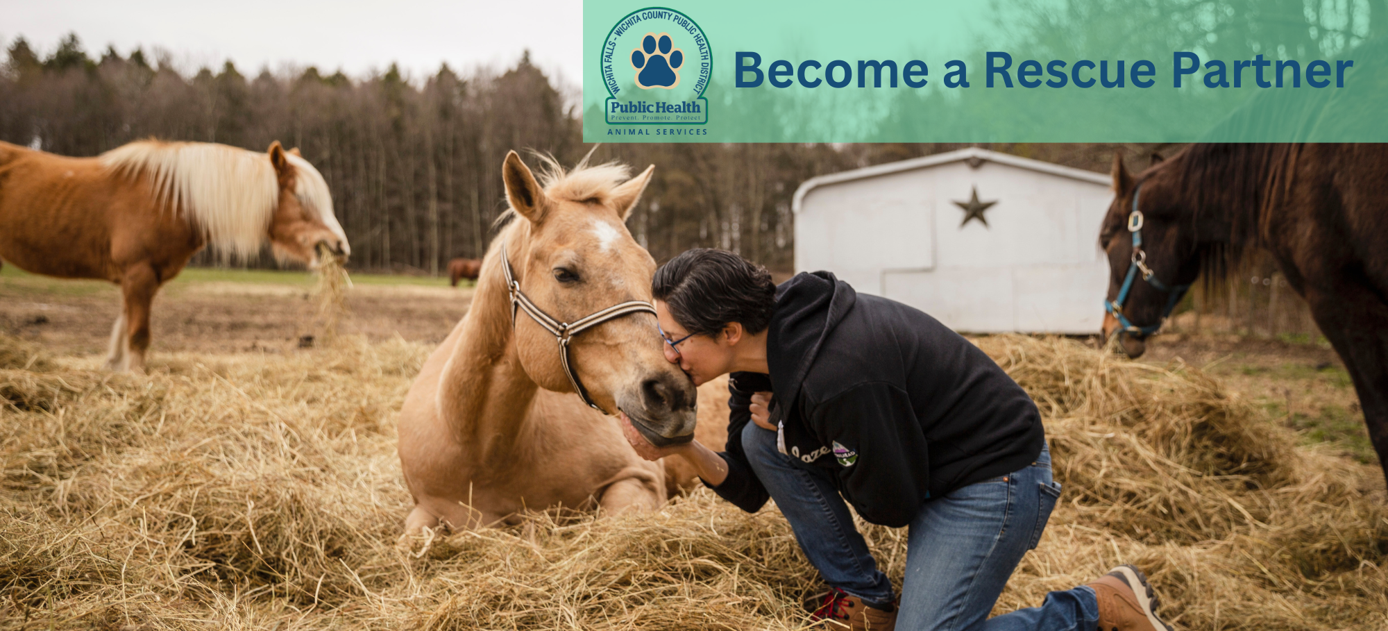 Animal Services Photo Banners _Rescue Partner