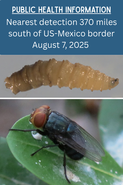 Public Health Information